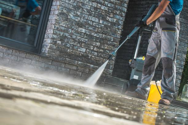 Best Driveway Pressure Washing  in Wixom, MI