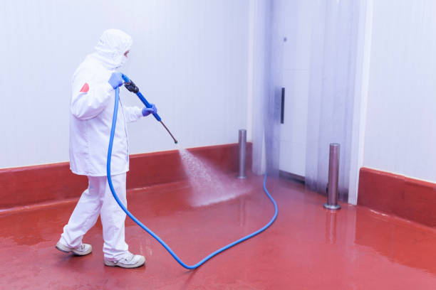 Best Spring Cleaning  in Wixom, MI