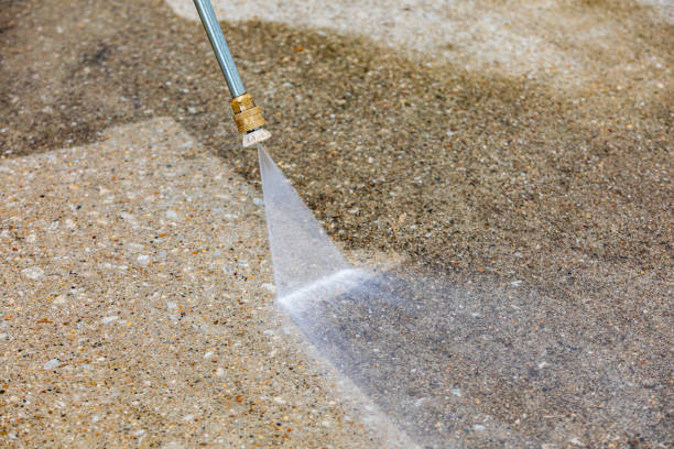 Best Gutter Cleaning  in Wixom, MI